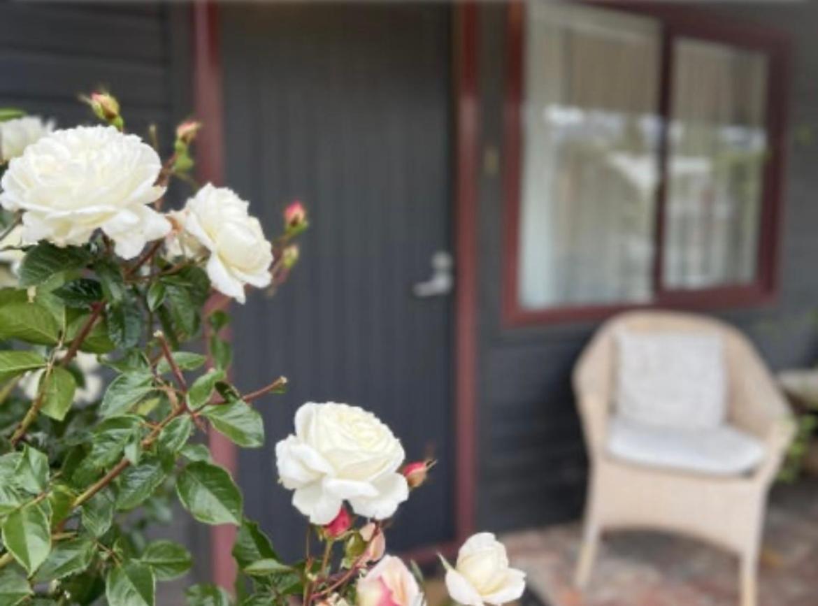 #2 Glenorchy Alpine Suite 외부 사진